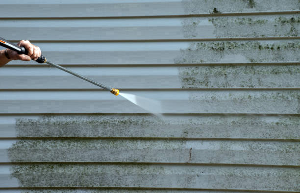 Best Deck Cleaning Services  in Acres Green, CO